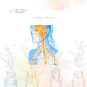 Onlinekurs Nervensystem und ätherische Öle – AromaCoach Ausbildung Beschreibung: