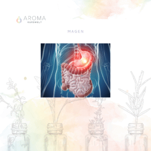 Ätherische Öle Magen – Verdauung, innere Mitte & emotionale Balance