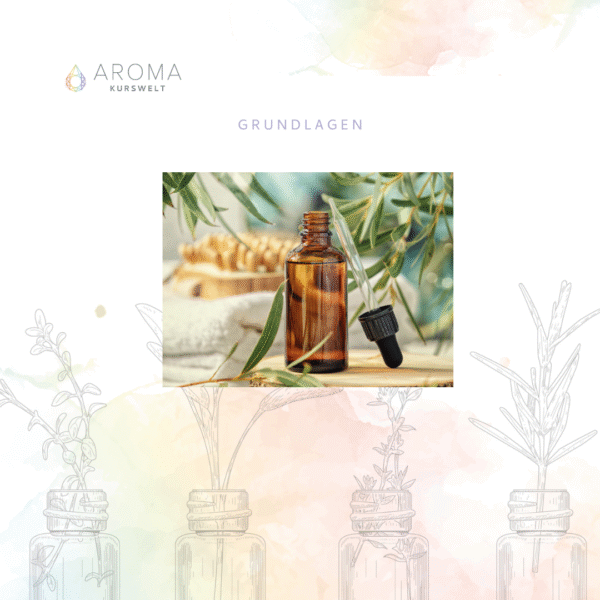 Basiswissen Aromacoaching - Grundlagen ätherische Öle