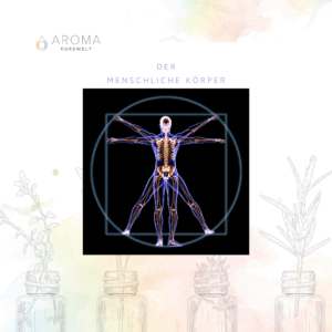 Ätherische Öle Körper – Balance, TCM & Aromatherapie