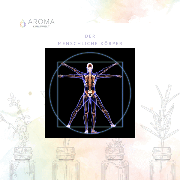 Ätherische Öle Körper – Balance, TCM & Aromatherapie