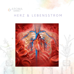 Herz & Lebensstrom – Das Blut- und Herz-Komplettpaket